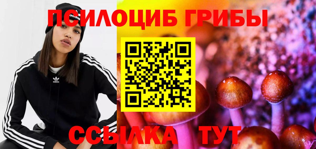 Псилоцибиновые грибы Psilocybe Фрязино