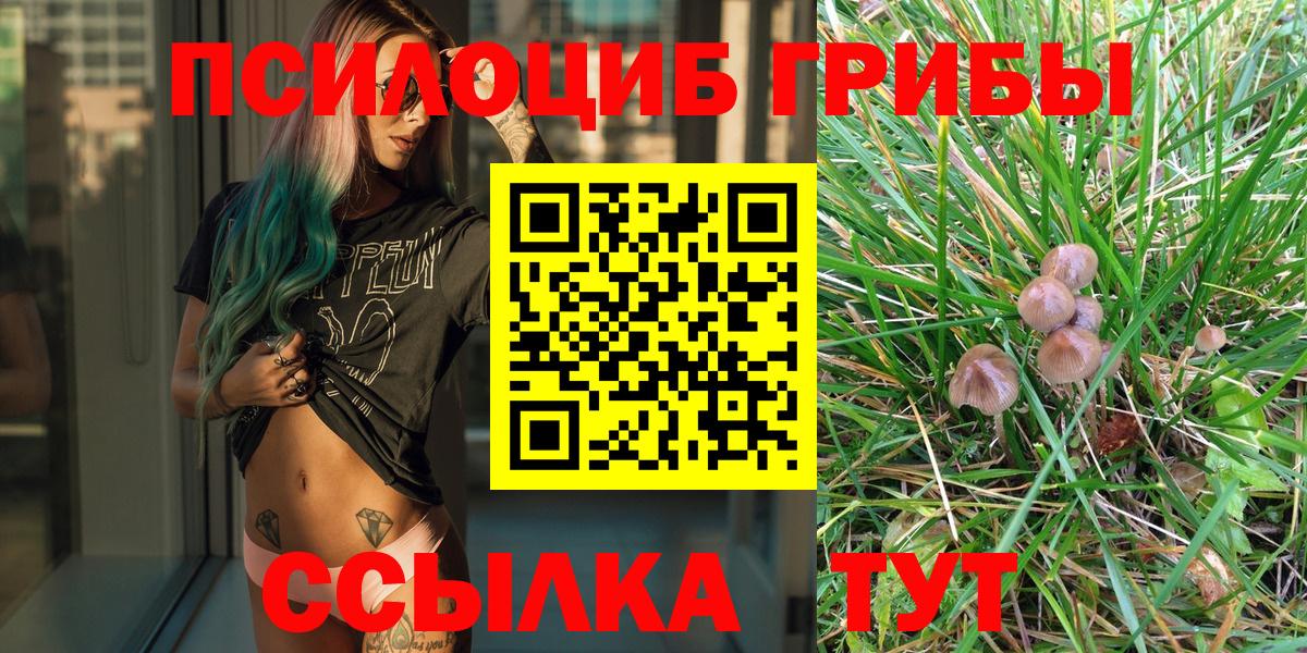 Фрязино  Галлюциногенные грибы ЛСД  Вход с VPN 